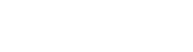 MP Simulators Logo (Weisse Schrift ohne Hintergrund)